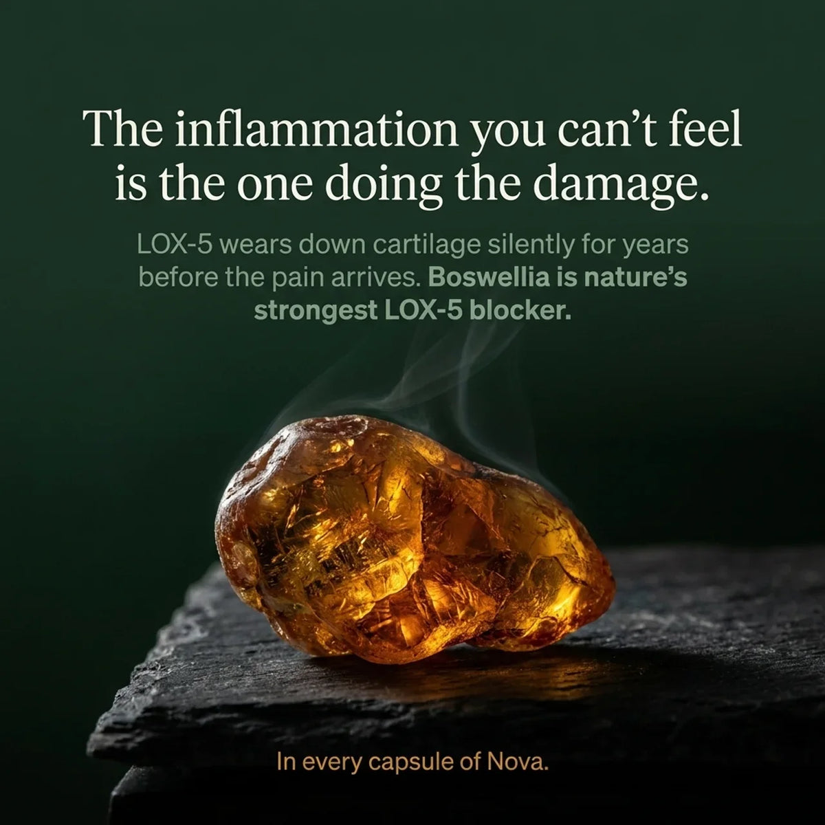 Curcumin + Boswellia Joint Support